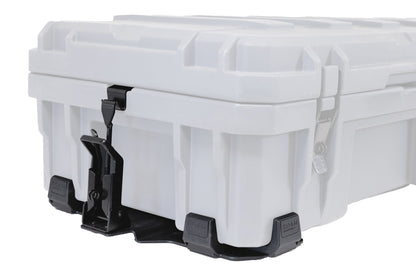 RUGGED MOUNT, 95L